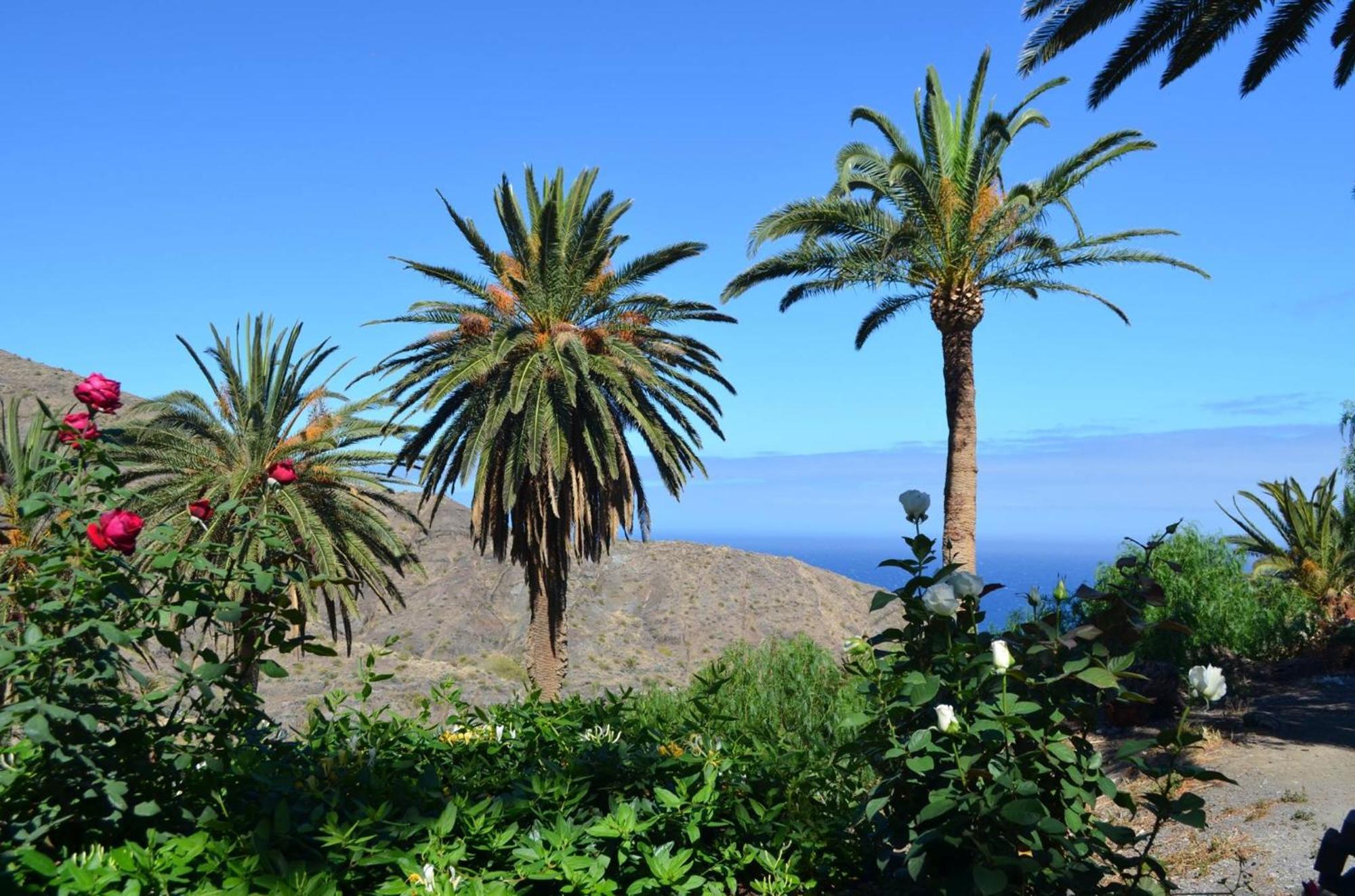 Finca Ossorio Casa Rita فاليهيرموسو المظهر الخارجي الصورة